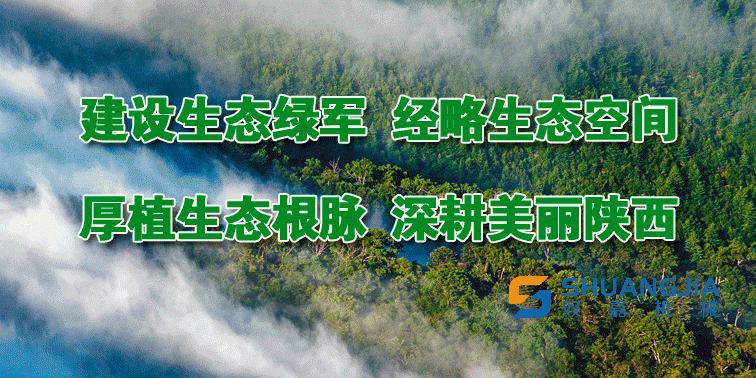1653267110198259.gif 0.gif